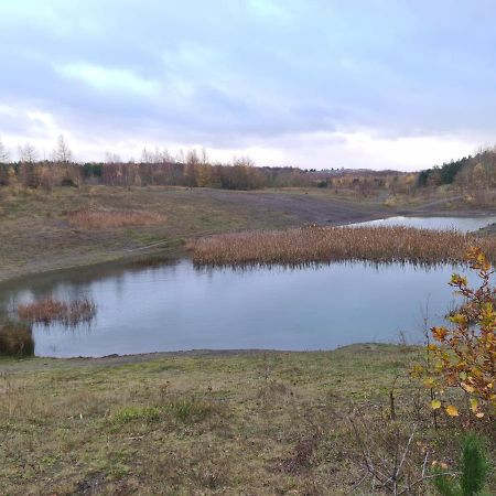 Rehoboth In Yew Gardens Apartment Донкастър Екстериор снимка